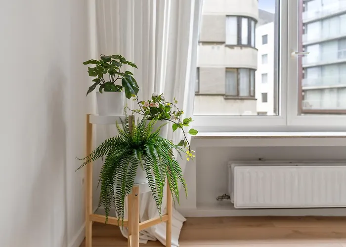 Petite * 奥斯滕德