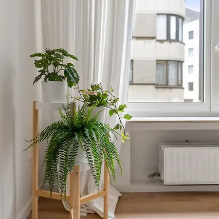 Petite * أوستيند